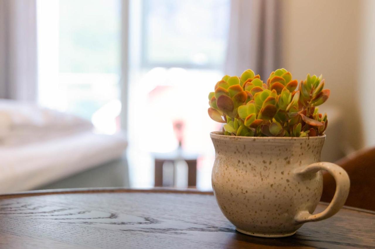 Apartment May's By May's Reine